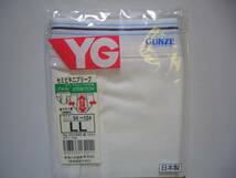 グンゼ YG セミビキニブリーフ LLサイズ YG1640 前開き 日本製 GUNZE レトロ_画像3