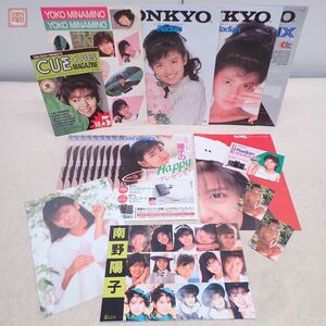 南野陽子 まとめて20点セット カード/ポスター/下敷き/ONKYO カタログ/小冊子/シール 非売品含む 当時物 アイドル 水着 ビキニ【PP