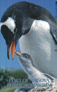 ★ペンギン　名古屋港水族館★テレカ５０度数未使用lr_34