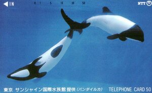 ★バンダイルカ　東京サンシャイン国際水族館　NTT★テレカ５０度数未使用lr_47