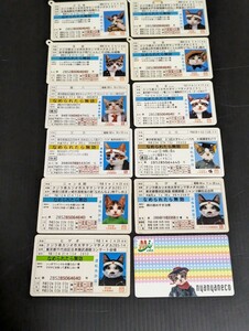 なめねこ　なめ猫　免許証　カード　12枚セット なめんなよ　昭和レトロ　当時物 　旧車　希少　③