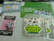 【同梱可】中古品 タレントグッズ ヒカキン&セイキン 他 ポテチ袋クッション BIGフライタグ 等 グッズセット_画像4