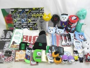 【同梱可】中古品 韓流 BIGBANG タオル パスケース ぬいぐるみ アクセサリートレイ 等 グッズセット