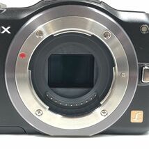 Panasonic パナソニック DMC-GF5 ブラック ミラーレス デジタルカメラ #5604_画像10