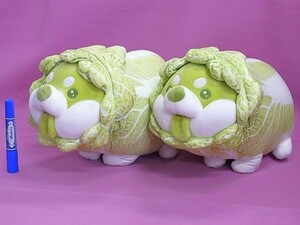 B51◆【展示品】おやさい妖精シリーズぬいぐるみ《ハクサイヌ 35cm》「2個で」★DODOWO　マイルストン