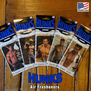 セクシー ガイ ハンクス エアフレッシュナー おまかせ 3枚セット sexy HUNKS Air Freshener 芳香剤 車 部屋 吊り下げ マッチョ 筋肉 腹筋