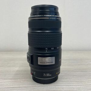 Canon ズームレンズ キャノン EF 75-300mm 4-5.6 IS image stabilizer
