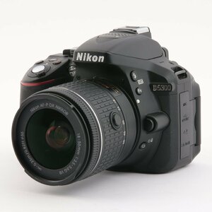 1円～ Nikon ニコン D5300　/　AF-P 18-55mm 3.5-5.6G VR　/　AF-P 70-300mm 4.5-6.3G ED VR　※バッテリーなし　【動作未確認品】