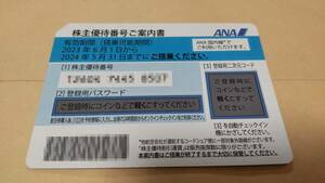 ★ANA株主優待券★有効期限2024年5月31日まで★国内線全路線利用可★発券用コード即日通知★