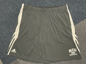 adidas（アディダス） NIU HUSKIES BASEBALLトレーニングショーツ（ノーザン・イリノイ大学） ☆6XO（231115）