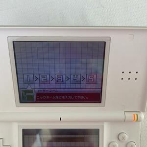 DS Lite　ホワイト