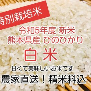 熊本県産★ヒノヒカリ白米１．８キロ★綺麗な湧き水で育った★特別栽培米