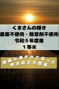 綺麗な湧き水で育った★熊本県産くまさんの輝き★一等米★１．３キロ