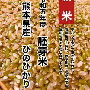 熊本県産★ヒノヒカリ胚芽米２キロ★綺麗な湧き水で育った★特別栽培米