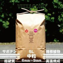 【送料無料】VIIIXAGONO 超硬質焼成培養土 中粒 5L 6mm〜9mm多肉植物 サボテン コーデックス アガベ パキプス ハオルチア 高品質 培養土_画像1