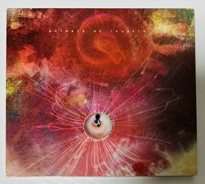 ■ ANIMALS AS LEADERS「 THE JOY OF MOTION」輸入盤 デジパック仕様