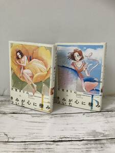 送料無料 2冊 新装版 きみが心に棲みついた上下セット 天堂きりん （フィールコミックス　ｓｗｉｎｇ） 天堂　きりん