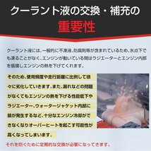 1円 LLC冷却液 不凍液 チャージャー チェンジャー キット エアー式 真空引き LLC注入 エアー抜き 冷却水 クーラント アダプター付き ee322_画像4