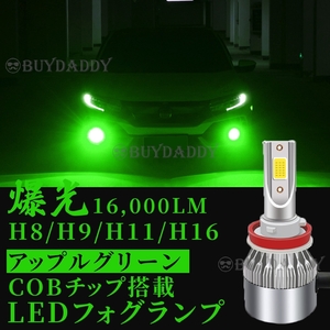 大人気 爆光 LED フォグランプ H8 H11 H16 アップルグリーン 12v 24v フォグライト 送料無料 初期保証