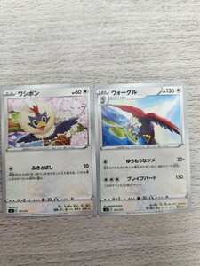 ポケモンカード　ワシボン　ウォーグル