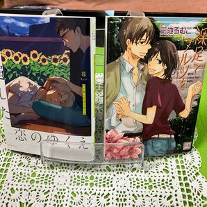 BL 暮 兄が遺した恋のゆくえ 他計 2冊