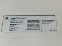 ベネトンカラー　Apple Keyboard ケーブル　付き_画像4