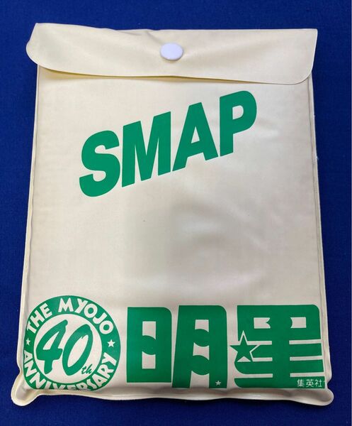 【超レア】非売品SMAPレジャーシート
