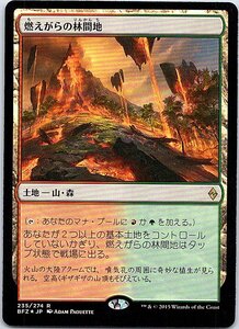 FOIL/燃えがらの林間地/Cinder Glade/戦乱のゼンディカー/日本語版/MTG１枚 [FC]