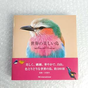 世界の美しい鳥 上田恵介監修 バイインターナショナル 帯付き