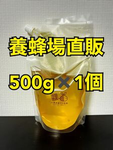 花山のはちみつ【百花蜜】500g×1個 2023/05採蜜