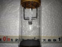 (2/4) KONDO PROJECTION LAMP KP-TF/10 24V 150W 近藤プロジェクションランプ 映写機 プロジェクター OHP 電球 ランプ 中古良品_画像4