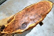 長150*幅-38*厚2.5　杉の木材木工材,一枚板自然木無垢材ＤＩＹ　テーブル天板　スギ　杢　銘木_画像2