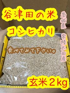 〈谷津田の米・玄米〉令和5年 新米 茨城県 常陸太田産 コシヒカリ 玄米2キロ