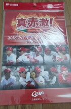 2016 広島東洋カープ 優勝祈念 真赤激 フレーム切手セット 新品未開封 カープ グッズ_画像1