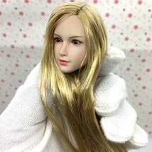 B18 1/6 フィギュア ヘッド　女性ヘッド　植毛タイプ 希少品 12インチドール 美少女 OB/TBLeague/Phicen/Jiaou doll素体対応 白肌_画像3