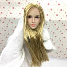 B18 1/6 フィギュア ヘッド　女性ヘッド　植毛タイプ 希少品 12インチドール 美少女 OB/TBLeague/Phicen/Jiaou doll素体対応 白肌_画像1