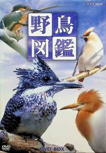 野鳥図鑑 DVD-BOX (DVD4点セット)