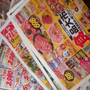 広告紙　のみ　１０kg　ペット　トイレ　新聞紙　古紙　茶碗