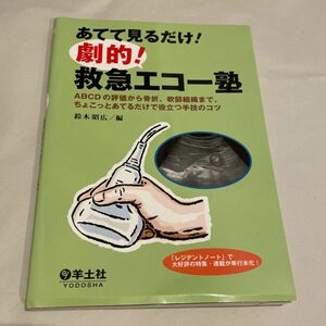 あてて見るだけ! 劇的! 救急エコー塾〜ABCDの評価から骨折、軟部組織まで、ちょこっとあてるだけで役立つ手技のコツ