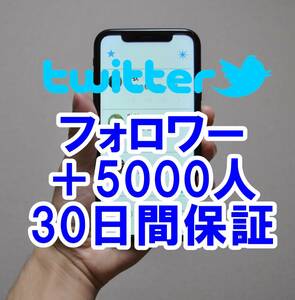  【おまけTwitter フォロワー増加 5000人 】 ユーチューブ 再生回数 増やせる自動増加ツール ツイッター 増加 外国人 登録者数 最高品質