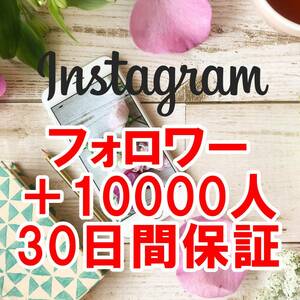 【おまけ Instagram フォロワー 増加 10000人】 ユーチューブ 再生回数 増やせる自動増加ツール 高品質 インスタグラム インスタ