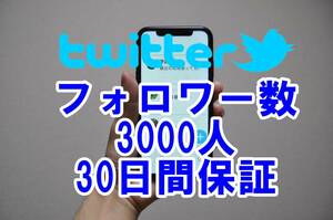 【おまけTwitter フォロワー増加 3000人 】 ユーチューブ 再生回数 増やせる自動増加ツール ツイッター 増加 外国人 登録者数 最高品質