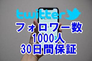 【おまけTwitter フォロワー増加 1000人 】 ユーチューブ 再生回数 増やせる自動増加ツール ツイッター 増加 外国人 登録者数 最高品質