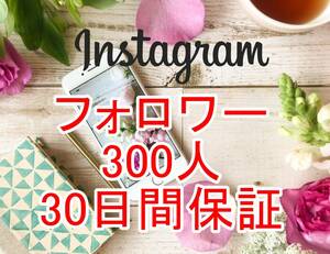 【おまけ Instagram フォロワー 増加 300人】 ユーチューブ 再生回数 増やせる自動増加ツール 高品質 インスタグラム インスタ