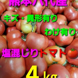 熊本県八代産トマト4キロ