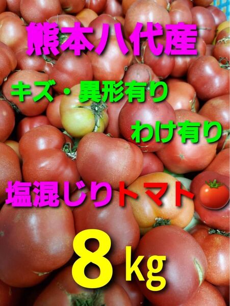 熊本県八代産トマト8キロ