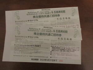 Bunkamura ザ・ミュージアム＆五島美術館　株主優待共通ご招待券　２枚　2024/5/31まで（１）