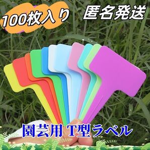 ラスチック製園芸用 T型ラベル【ブラック 100枚入り】植物タグ ガーデンタグ学校用ラベル防水植物 農家
