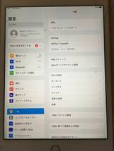 iPad mini4 16GBモデル Model:A1550　完全ジャンク扱い要メンテナンス　おまけつき_画像8