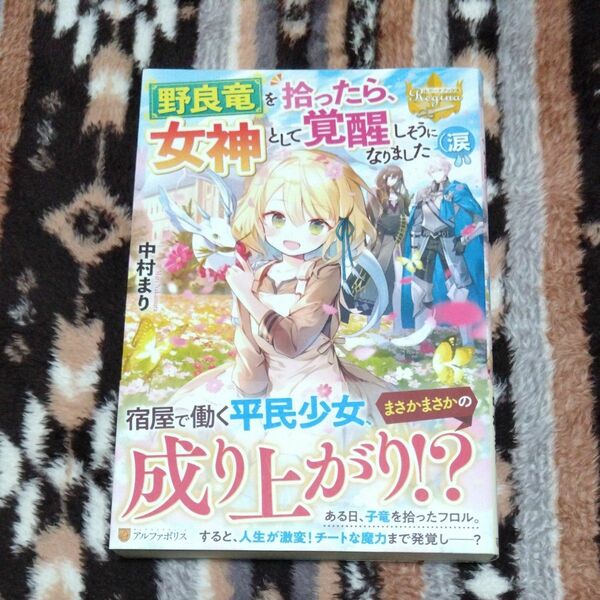 野良竜を拾ったら、女神として覚醒しそうになりました〈涙 （レジーナブックス） 中村まり／〔著〕